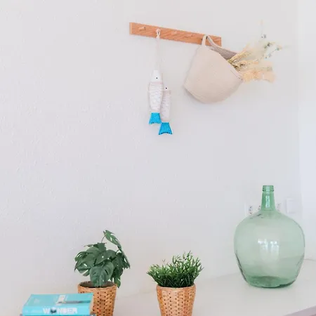 Lemon-azul-costabrava Lloret de Mar