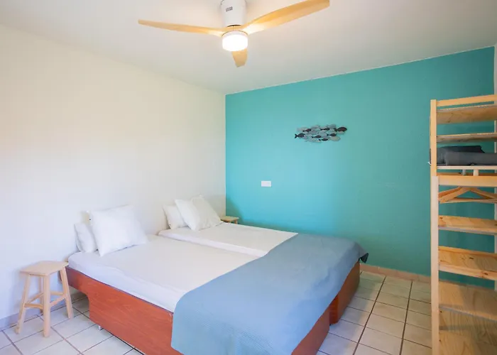 Lemon-azul-costabrava